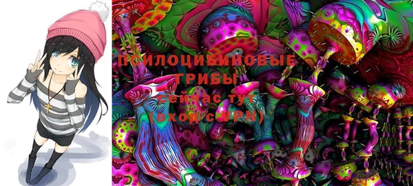 дмт Михайловск