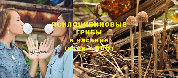 гашик Михайлов