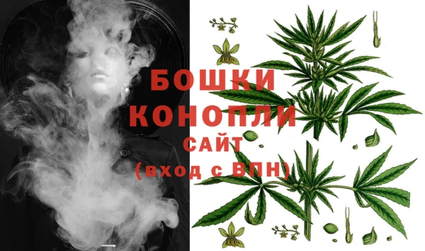 гашик Михайлов