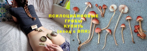 амф Мегион