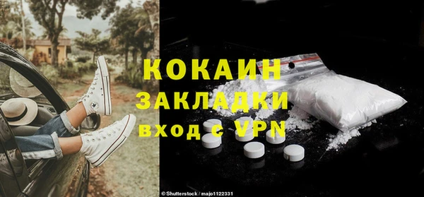 гашик Михайлов