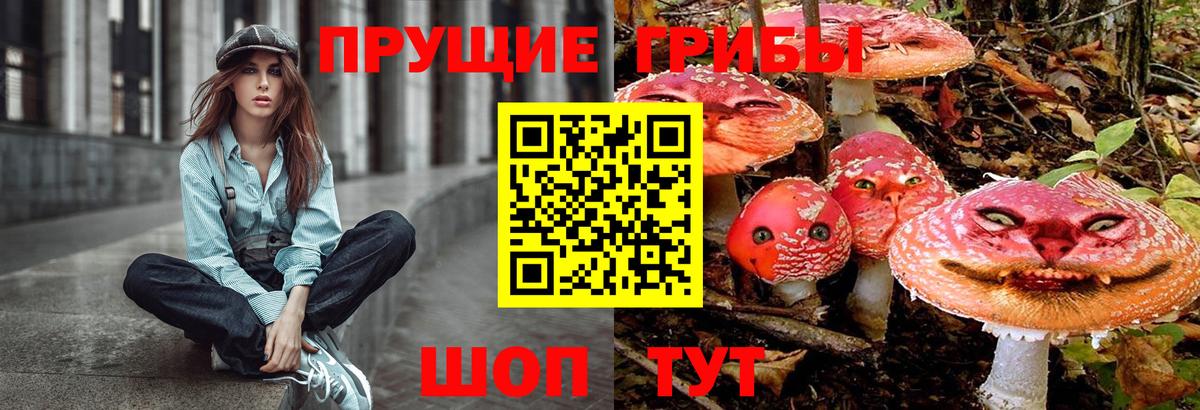 Галлюциногенные грибы мухоморы Мурино