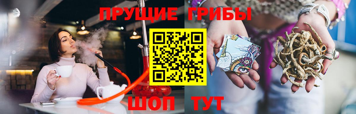 Галлюциногенные грибы Psilocybine cubensis  Вход с VPN  Мурино  Псилоцибиновые грибы Magic Shrooms 
